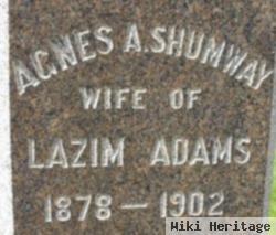 Agnes A Shumway Adams