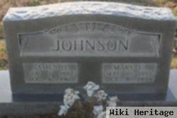 Mary E. Johnson