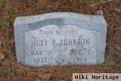 Huey R Johnson