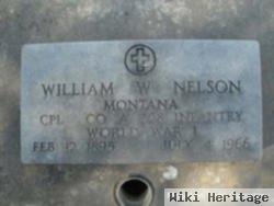 William W Nelson