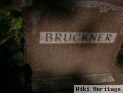 Walter Bruckner