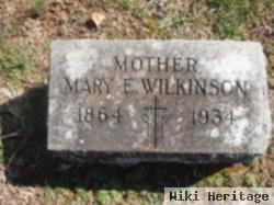 Mary E. Wilkinson