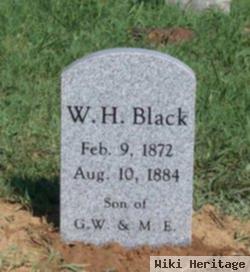 William H Black