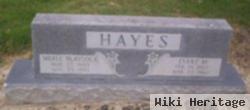 Evert M Hayes