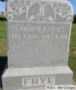 Andrew C. Frye