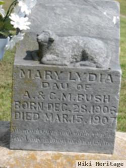 Mary Lydia Bush