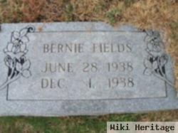 Bernie Fields