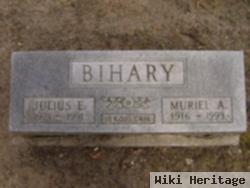 Julius E Bihary