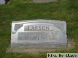 Olive Irene Larson