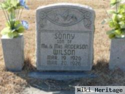 Sonny Wilson