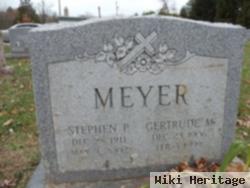 Stephen P Meyer