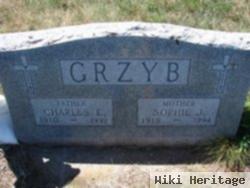 Charles Edward Grzyb