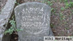 Mary S Dies Wilson