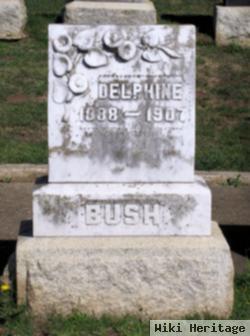 Delphine Bush