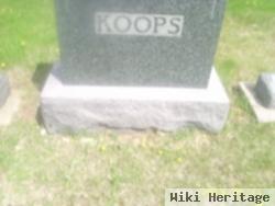 Agnes H.m. Koops