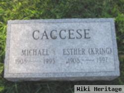 Michael Caccese