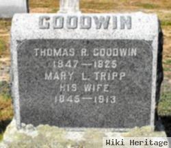 Thomas R Goodwin