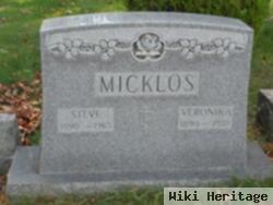 Steve Micklos