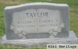 William J Taylor