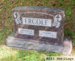 Lillian L Ercole