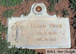 Bogan Higgs