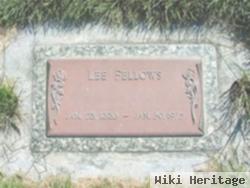 Lee Fellows