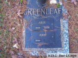 Arie Greenleaf