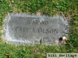 Carl A. Olson