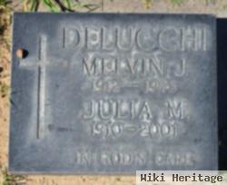 Melvin J Delucchi