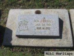 Ben J Brixius