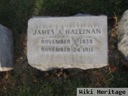 James A Hallinan