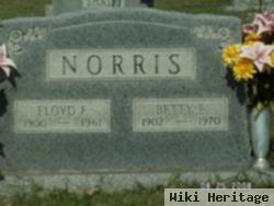 Betty E. Taylor Norris