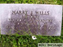 Harry J Wells