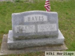 Theodore J Hayes