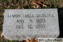 Lemon Shell Siceloff