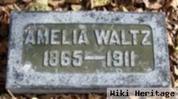 Amelia Waltz