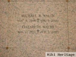 Michael B Walsh