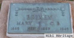 Mary Mae "bunt" Horner Brixey