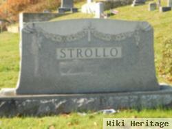 Diomiro J. Strollo