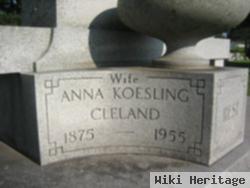 Anna Koesling Cleland