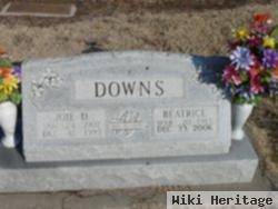 Beatrice Downs