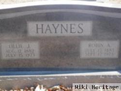 Robin A. Haynes