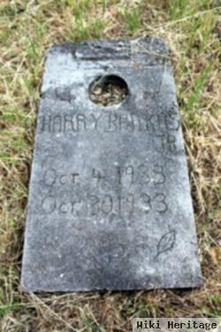 Harry Barkas, Jr