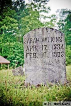 Sarah Wilkins