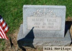 Albert Kalil