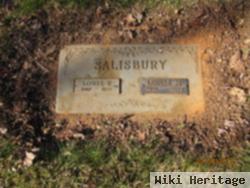 Louise Mary Bouska Salisbury