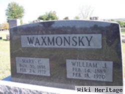 William Waxmonsky