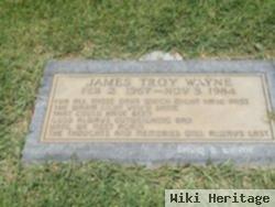 James Troy Wayne