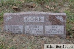 Lewis H Cobb