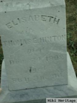 Mary Elizabeth Delong Hinton